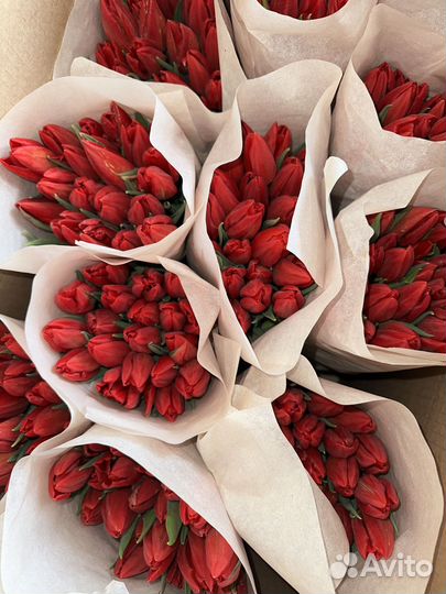 Тюльпан на луковице опт и розница