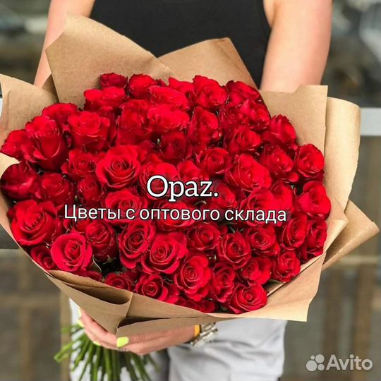 Цветы 51 роза Эквадор 60см