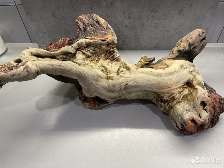 Дрифтвуд большая морская коряга