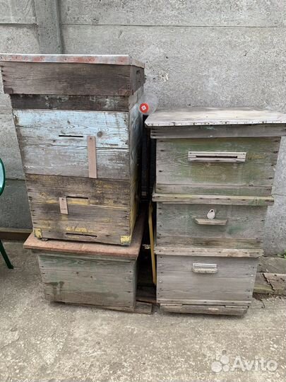 Улей дадан 12