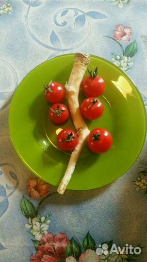 Корень хрена