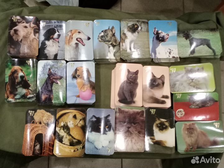 Карманные календарики с кошками и собаками