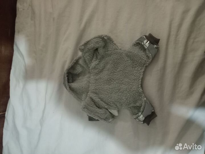 Собачья одежда