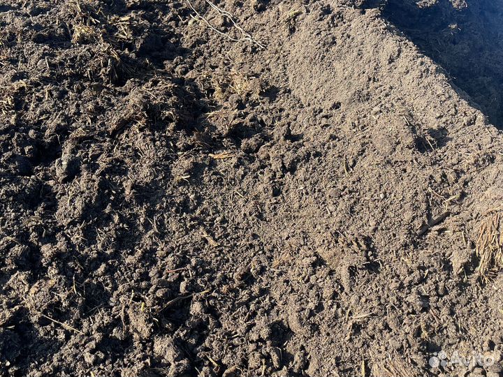 Навоз перегной с фермы