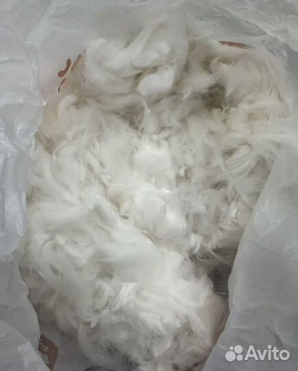 Собачья шерсть 1 кг