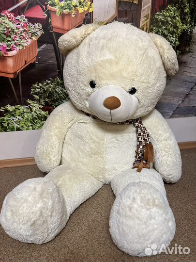 Плюшевый медведь
