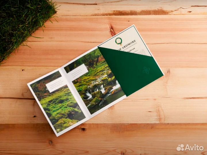 Титул Лорда и Леди и 1 кв. фут земли Ardmore