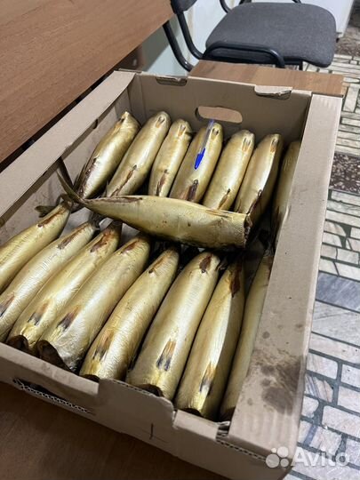 Скумбрия холодного копчения оптом