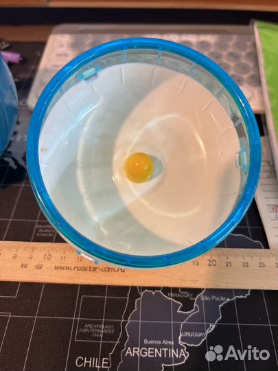 Прогулочный шар для хомяка