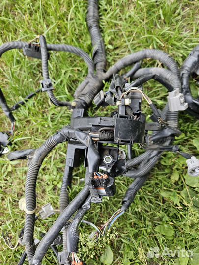 Коса подкапотная Toyota Camry 30 2A-ZFE 2004 г