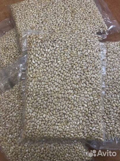 Очищенный кедровый орех