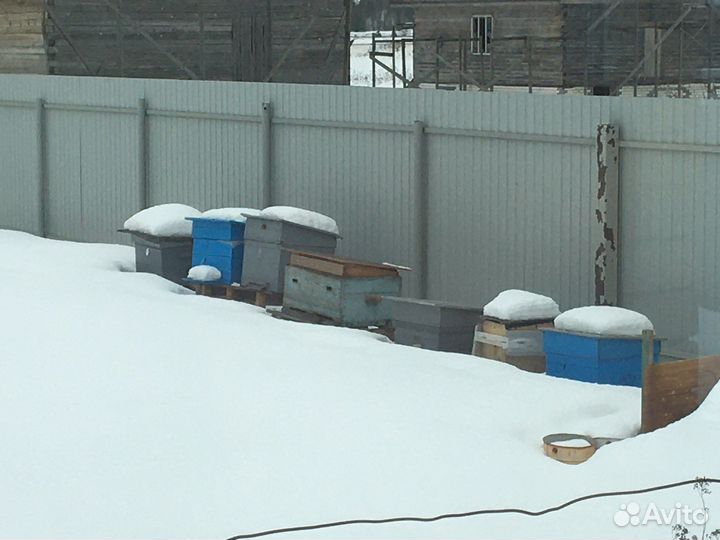 Ульи для пчел, сушь