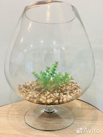 Аквариум в виде бокала