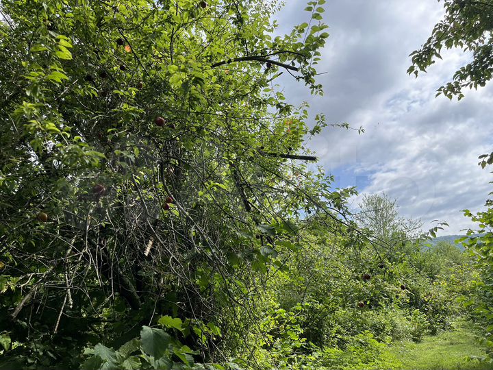 Участок 25 сот. (ИЖС)