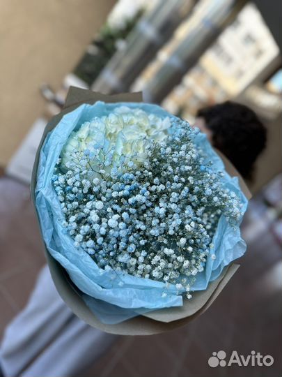 Букет из гипсофилы