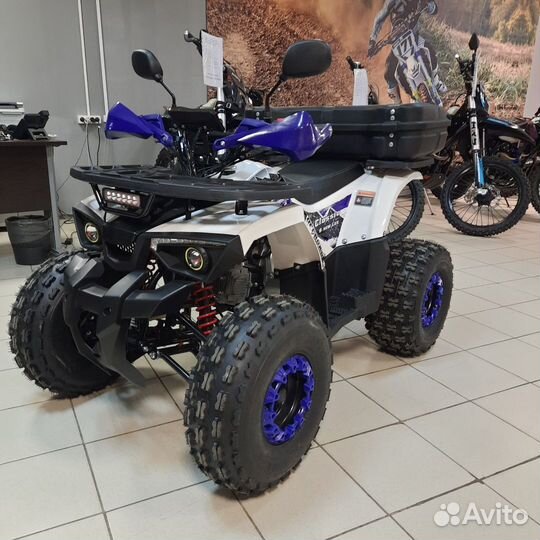 Avantis Classic 8 New Lux с кофром