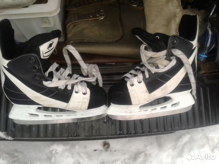 Коньки nordway detroit