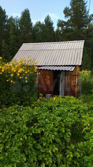 Дача 50 м² на участке 12 сот.