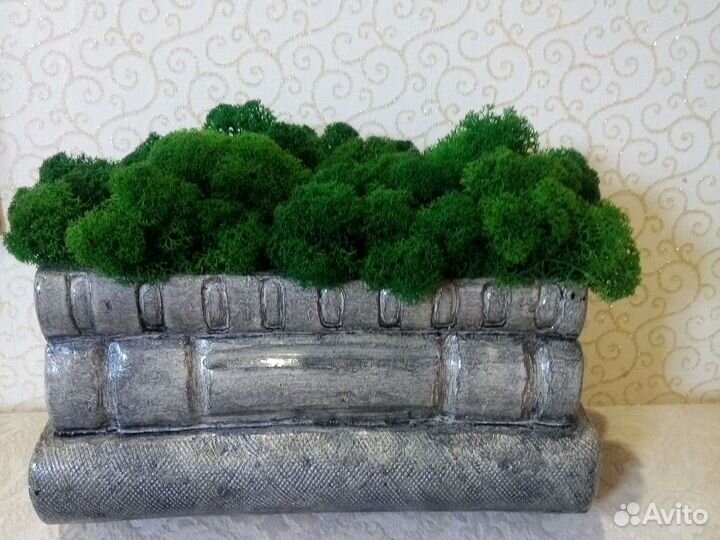 Мох в кашпо для интерьера (декор)