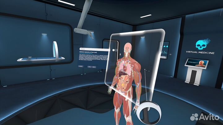 Human Anatomy VR2 PS5