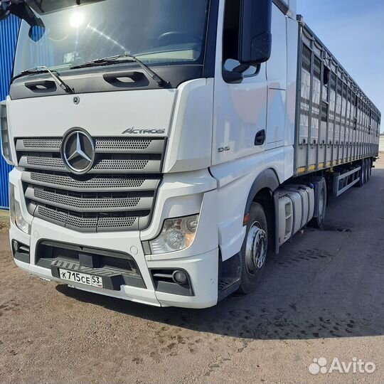 Скотовоз перевозка скота