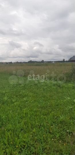 Участок 10,4 сот. (СНТ, ДНП)