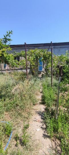 Участок 3 сот. (СНТ, ДНП)