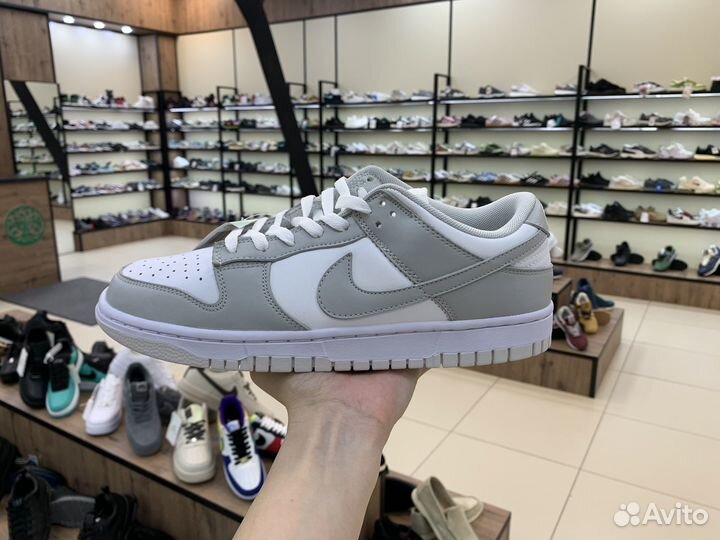 Nike sb dunk low