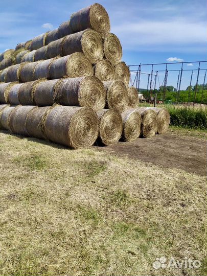 Продаю сено, козлятник