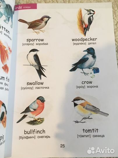 Книга английский язык для малышей