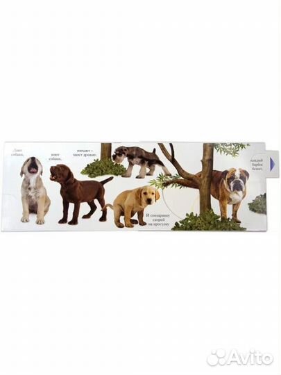 Книга Гав Азбука аттикус, Махаон