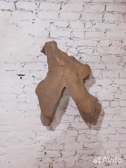 Спил прикорневой