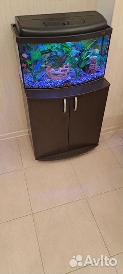 Аквариум с тумбой 50 литров