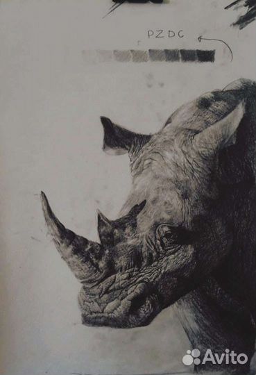 Картина (графика)