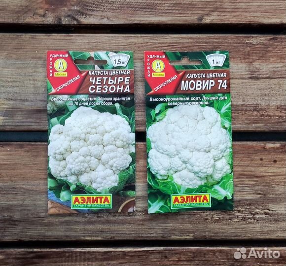 Семена капусты