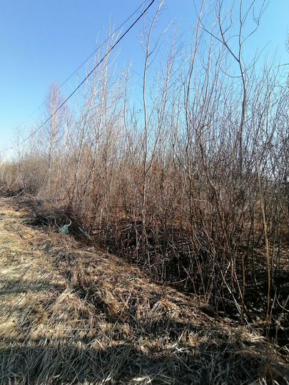 Участок 12,2 сот. (ИЖС)