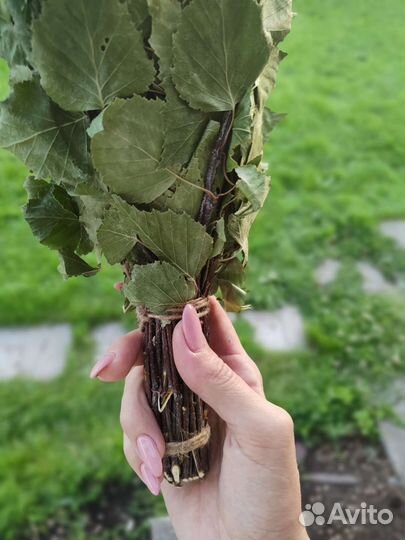 Березовые веники