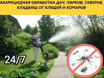 Уничтожение Комары Клещи Клопы Тараканы