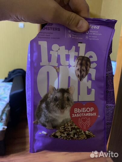 Продаю джунгарских хомяков с кормом и клеткой