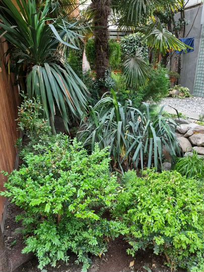 Дом 40 м² на участке 2,5 сот.