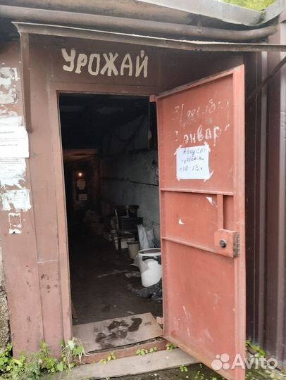 Погреб ячейка в обществе 