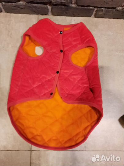 Одежда для собак