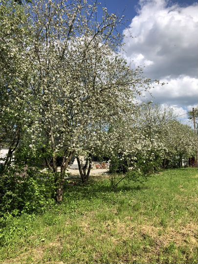 Участок 6 сот. (ИЖС)