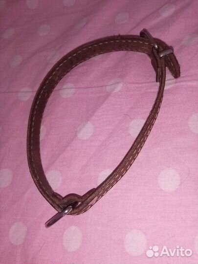 Ошейник для собак