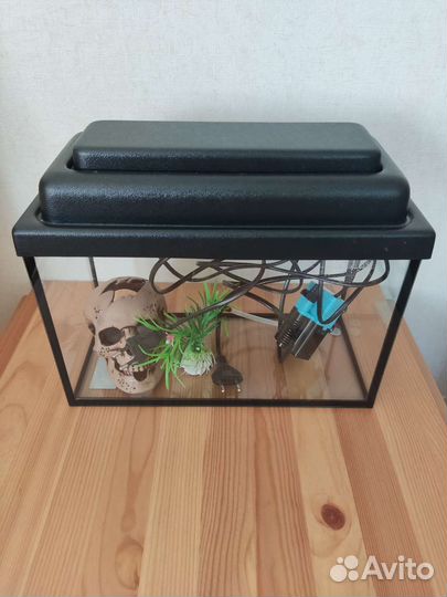 Аквариум + фильтр + декор + лампа