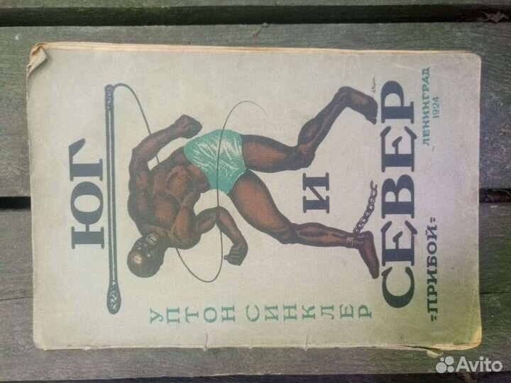 Книга Синклер Юг и Север 1924 г