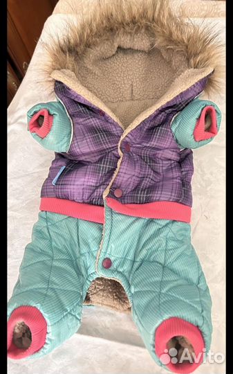 Одежда для маленьких собак