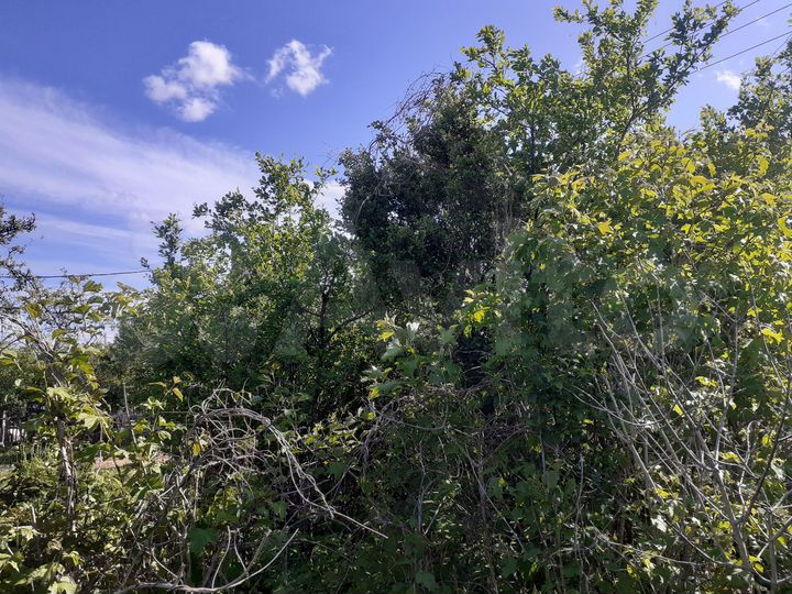 Участок 12 сот. (СНТ, ДНП)