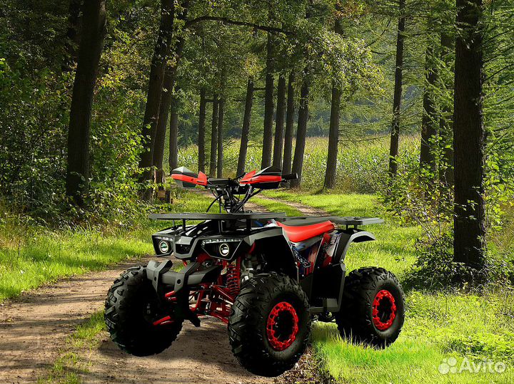 Квадроцикл promax (Промакс) wild 190 PRO-line