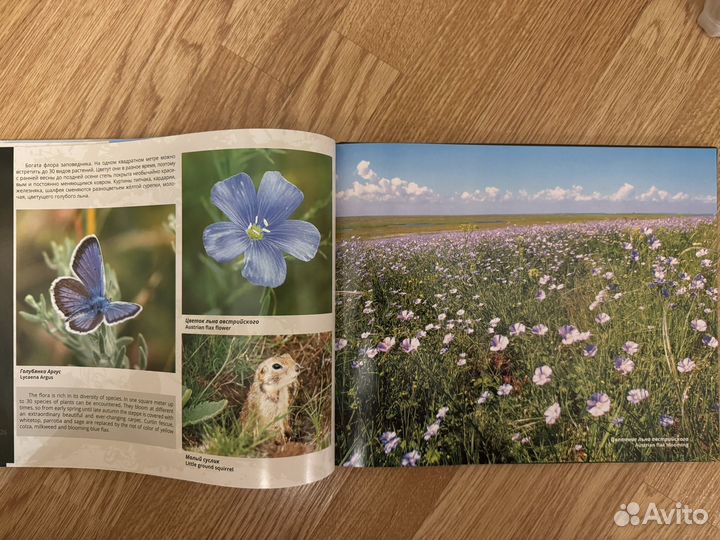 Заповедные донские степи Фотоальбом